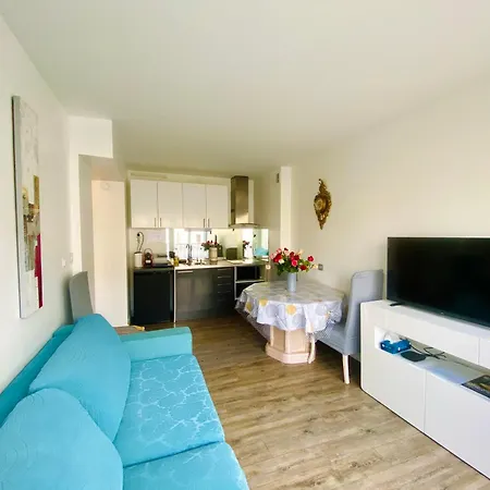 Apartment A Proximite De La Gare D'annecy Annecy